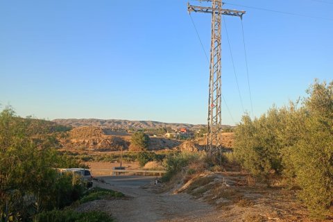 Terreno in vendita a Lorca, Murcia, Spagna 7165 mq. N° 185004 - foto 6