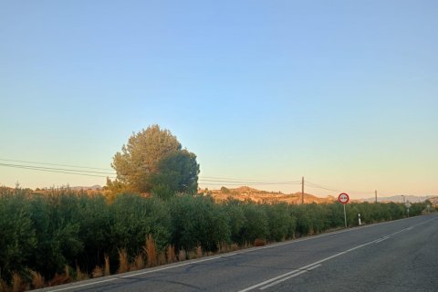 Terreno in vendita a Lorca, Murcia, Spagna 7165 mq. N° 185004 - foto 13