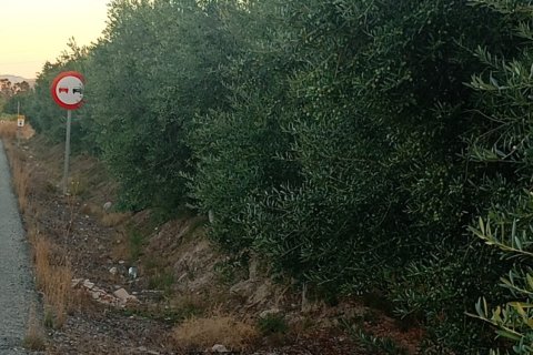 Terreno in vendita a Lorca, Murcia, Spagna 7165 mq. N° 185004 - foto 11