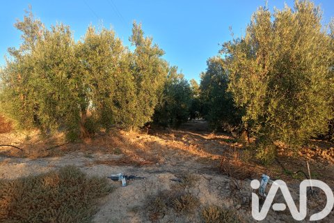 Terreno in vendita a Lorca, Murcia, Spagna 7165 mq. N° 185004 - foto 23