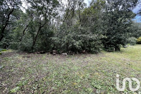 Продажа квартиры в Досриус, Барселона, Испания 4 спальни, 150м2 №153555 - фото 30