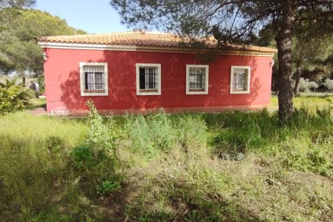 Parcela en venta en Villablanca, Huelva, España 9275 m2 No. 153560 - foto 15