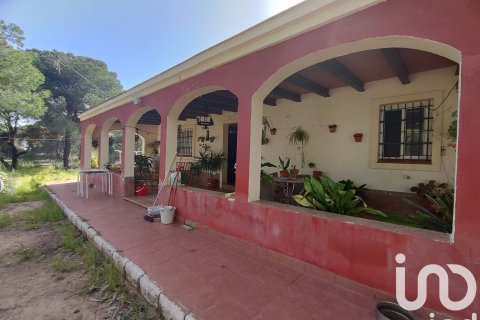 Земельный участок в Вильябланка, Уэльва, Испания 9275м2 №153560