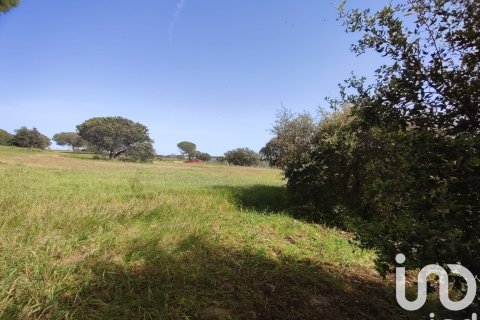 Parcela en venta en Villablanca, Huelva, España 9275 m2 No. 153560 - foto 2