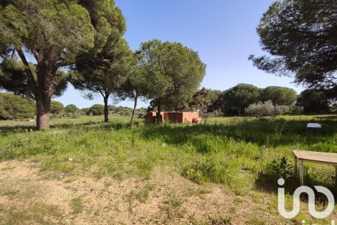 Parcela en venta en Villablanca, Huelva, España 9275 m2 No. 153560 - foto 4