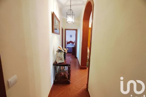 Parcela en venta en Villablanca, Huelva, España 9275 m2 No. 153560 - foto 14