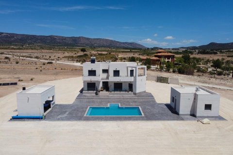 Huvila Pinoso, Alicante, Espanja 4 makuuhuonetta, 180 m2 No. 171654