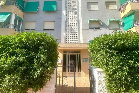 Apartament w Punta Prima, Alicante, Hiszpania 3 sypialnie, 92 mkw. nr 155685 – zdjęcie 3