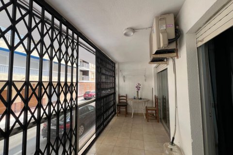 Apartament w Torrevieja, Alicante, Hiszpania 3 sypialnie, 110 mkw. nr 155686 – zdjęcie 15