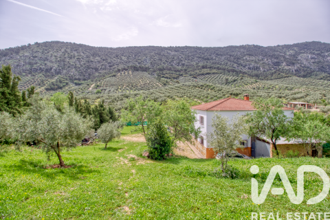 Casa a Rute, Cordoba, Spagna 5 camere da letto, 270 mq. N° 172301