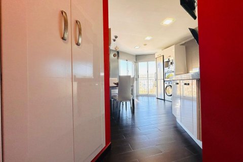 Huoneisto myytävänä Torrevieja, Alicante, Espanja, 3 makuuhuonetta, 205 m2 No. 115357 - kuva 21