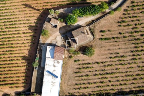 Finca en venta en Sitges, Barcelona, España 4 dormitorios, 229 m2 No. 195604 - foto 29