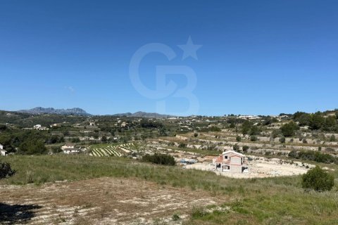 Land zum Verkauf in Teulada, Alicante, Spanien 10000 m2 Nr. 158666 - Foto 5
