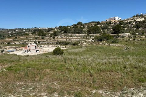 Tontti myytävänä Teulada, Alicante, Espanja , 10000 m2 No. 158666 - kuva 9