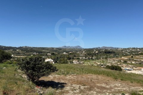 Land zum Verkauf in Teulada, Alicante, Spanien 10000 m2 Nr. 158666 - Foto 6