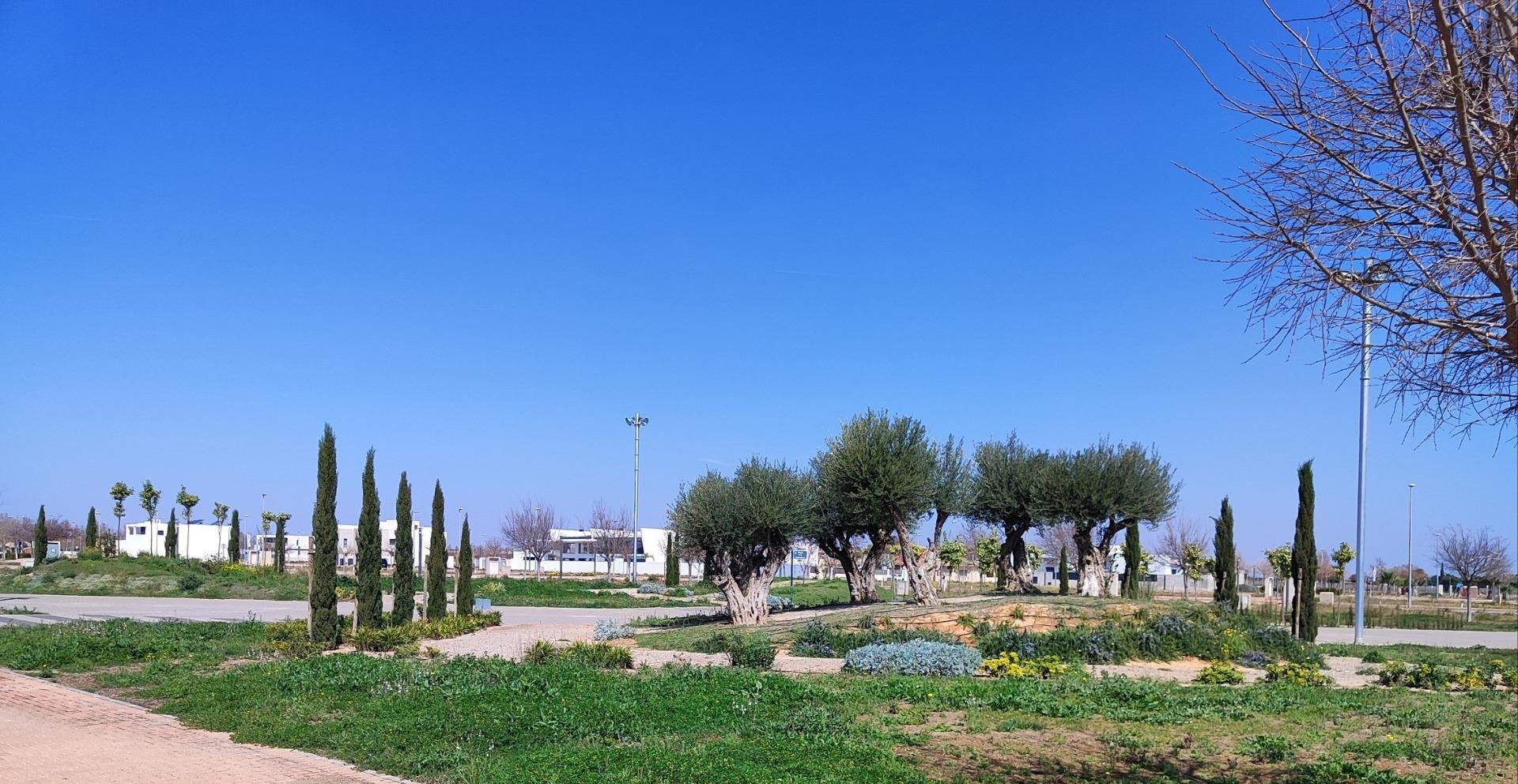 Wohnung in Torre-Pacheco, Murcia, Spanien 2 Schlafzimmer, 80 m2 Nr. 142443