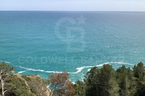 Продажа виллы в Хавеа, Аликанте, Испания 3 спальни, 733м2 №160364 - фото 3