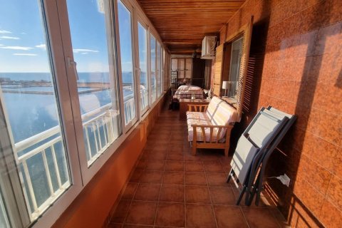 Продажа квартиры в Торревьеха, Аликанте, Испания 3 спальни, 100м2 №147497 - фото 2