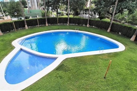 Продажа квартиры в Бенидорм, Аликанте, Испания 1 спальня, 68м2 №147493 - фото 14