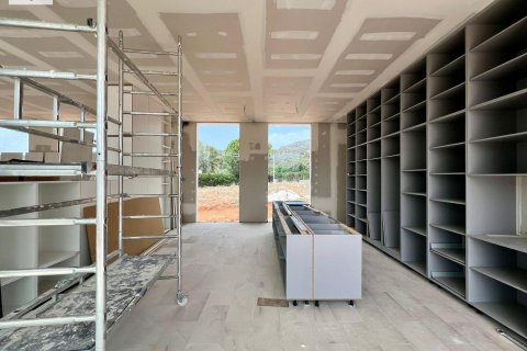 Продажа квартиры в Альзира, Валенсия, Испания 400м2 №168753 - фото 14