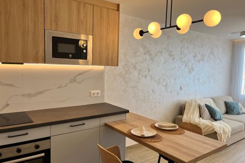 Appartamento in vendita a Torrevieja, Alicante, Spagna 37 mq. N° 168752 - foto 10