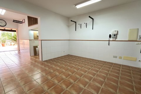 Villa īrēšanai Manacor, Mallorca, Spānijā 3 istabas, 250 m2 Nr. 172042 - attēls 25