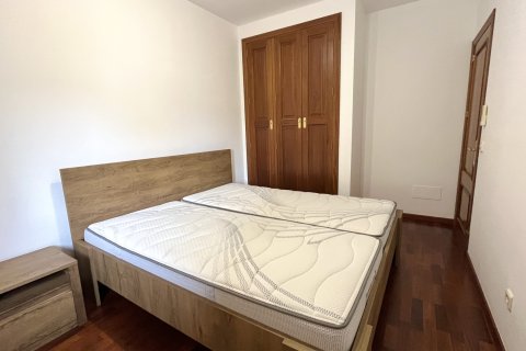 Villa īrēšanai Manacor, Mallorca, Spānijā 3 istabas, 250 m2 Nr. 172042 - attēls 22