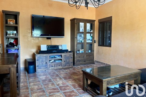 Продажа дома в Ла Редондела, Уэльва, Испания 8 спален, 16000м2 №153904 - фото 26