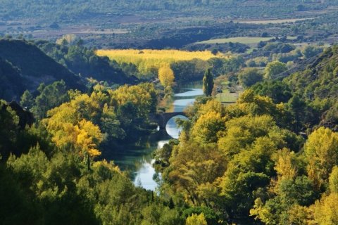 Dom w Sacedon, Guadalajara, Hiszpania 5 sypialni, 364 mkw. nr 153907 – zdjęcie 13