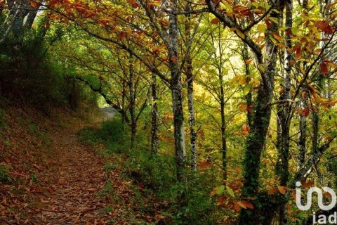 Tontti myytävänä Galaroza, Huelva, Espanja , 400 m2 No. 153908 - kuva 8