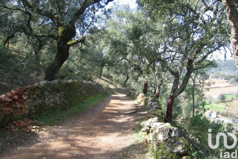 Tontti myytävänä Galaroza, Huelva, Espanja , 400 m2 No. 153908 - kuva 11