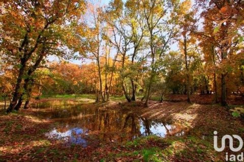 Tontti myytävänä Galaroza, Huelva, Espanja , 400 m2 No. 153908 - kuva 17