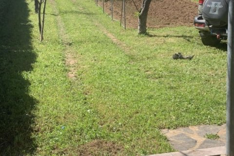 Tontti myytävänä Galaroza, Huelva, Espanja , 400 m2 No. 153908 - kuva 5