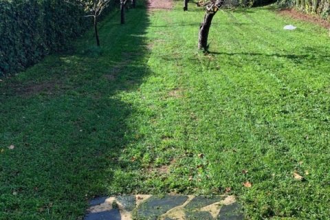 Tontti myytävänä Galaroza, Huelva, Espanja , 400 m2 No. 153908 - kuva 6