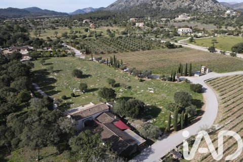 Сasa en venta en Pollenca, Mallorca, España 5 dormitorios, 1307 m2 No. 195149 - foto 10
