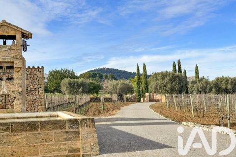 Сasa en venta en Pollenca, Mallorca, España 5 dormitorios, 1307 m2 No. 195149 - foto 8