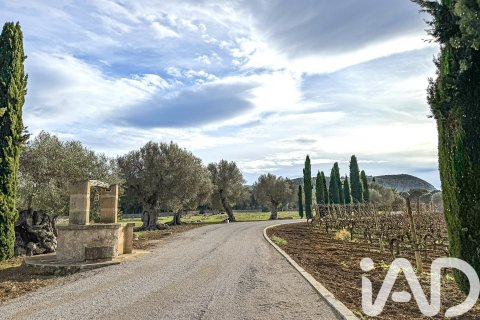 Сasa en venta en Pollenca, Mallorca, España 5 dormitorios, 1307 m2 No. 195149 - foto 17