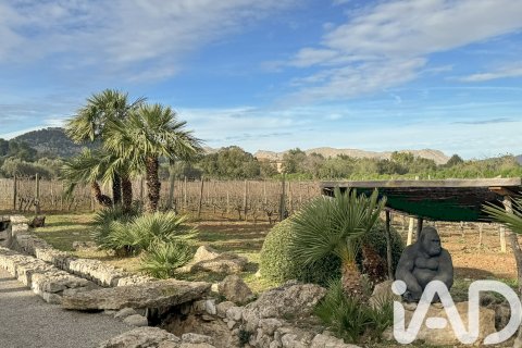 Сasa en venta en Pollenca, Mallorca, España 5 dormitorios, 1307 m2 No. 195149 - foto 6
