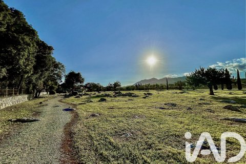 Сasa en venta en Pollenca, Mallorca, España 5 dormitorios, 1307 m2 No. 195149 - foto 4