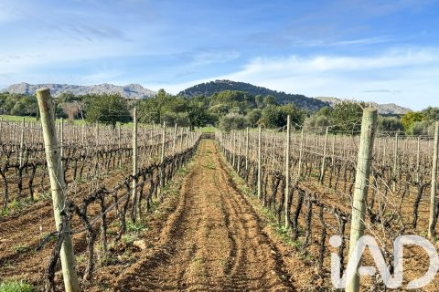 Сasa en venta en Pollenca, Mallorca, España 5 dormitorios, 1307 m2 No. 195149 - foto 9