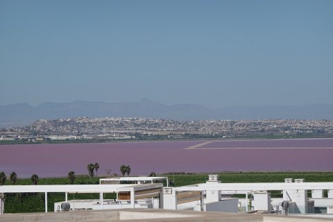 Dzīvoklis pārdošanā Los Balcones, Alicante, Spānijā 3 istabas, 84 m2 Nr. 144189 - attēls 4