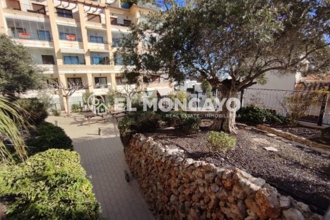 Apartamento en venta en Guardamar del Segura, Alicante, España 3 dormitorios, 106 m2 No. 149121 - foto 27