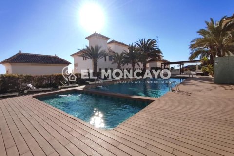 Apartamento en venta en Guardamar del Segura, Alicante, España 3 dormitorios, 106 m2 No. 149121 - foto 22