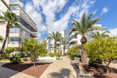 Dzīvoklis pārdošanā Villamartin, Alicante, Spānijā 2 istabas, 93 m2 Nr. 146899 - attēls 20