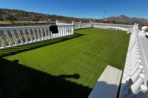 Продажа виллы в Хондон-де-лос-Фрайлес, Аликанте, Испания 6 спален, 516м2 №146904 - фото 23