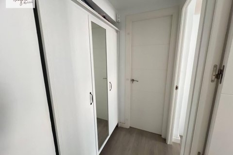 Apartment à louer à Valencia, Espagne, 1 chambre, 63 m2 No. 149475 - photo 11