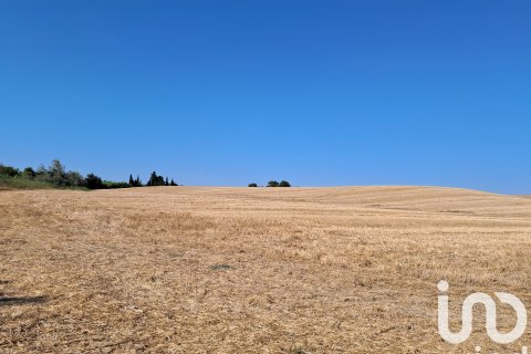 Terreno in vendita a Arcos de la Frontera, Cadiz, Spagna 91500 mq. N° 153082 - foto 2