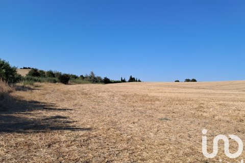 Terreno in vendita a Arcos de la Frontera, Cadiz, Spagna 91500 mq. N° 153082 - foto 3