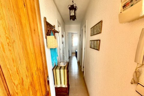 Appartamento in vendita a Torrevieja, Alicante, Spagna 3 camere da letto, 93 mq. N° 195970 - foto 5