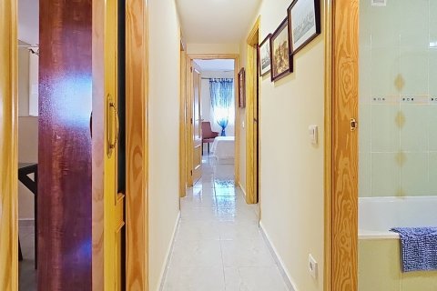 Продажа квартиры в Мирамар, Валенсия, Испания 3 спальни, 210м2 №152831 - фото 15